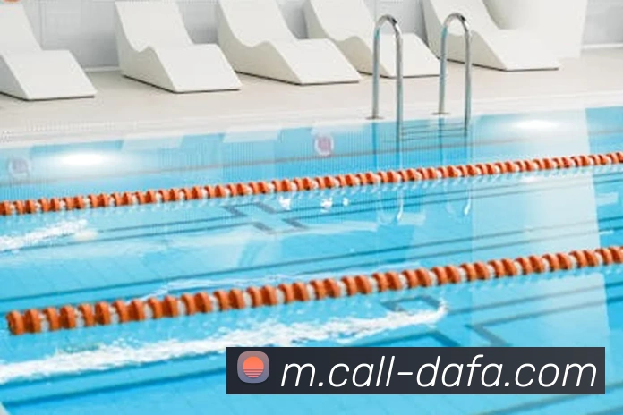 大发彩票平台生态图